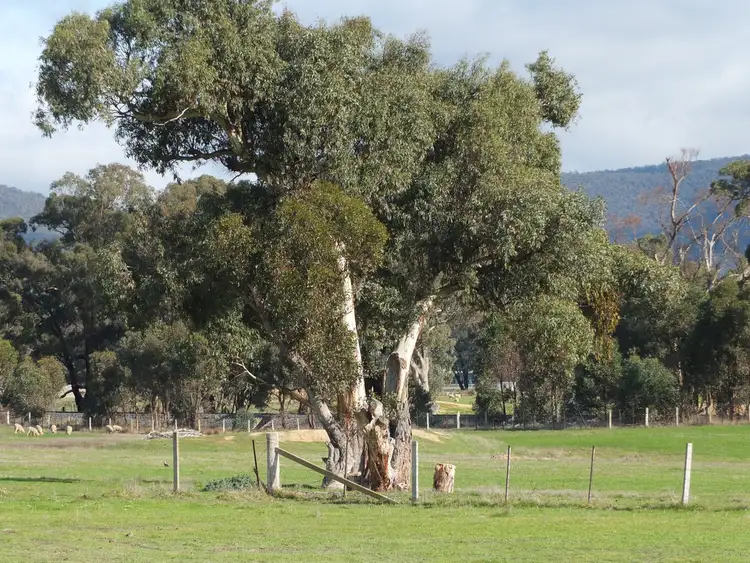 Second view of Homely rural property listing, TP15956 Part 3 Dawsons Road, Avoca VIC 3467