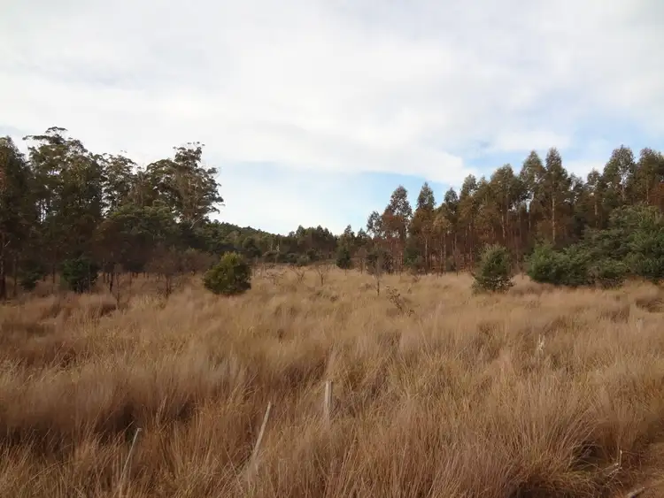 Fourth view of Homely rural property listing, PID 7710355 Frankford Road, Frankford TAS 7275