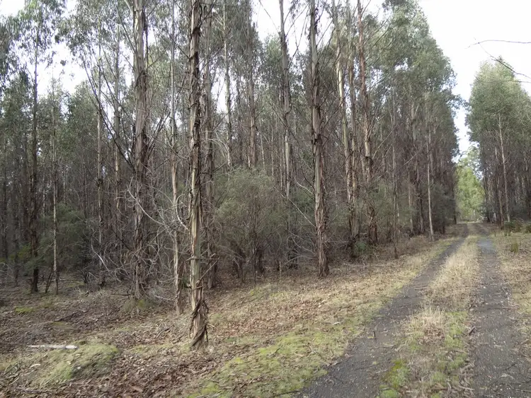 Seventh view of Homely rural property listing, PID 7710355 Frankford Road, Frankford TAS 7275