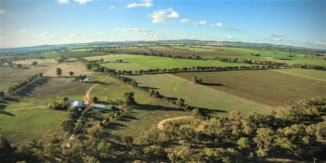 Main view of Homely rural property listing, 'Tallowood' 231 Yankee Crossing Road, Henty NSW 2658