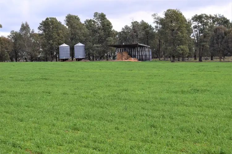 Fourth view of Homely rural property listing, 'Tallowood' 231 Yankee Crossing Road, Henty NSW 2658