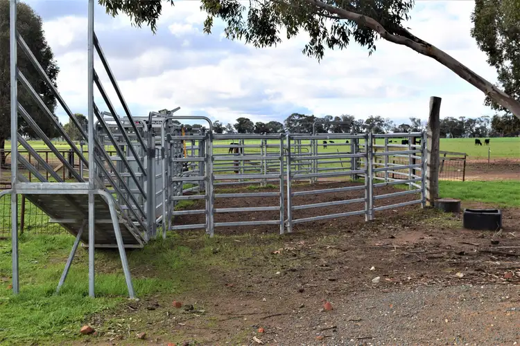 Fifth view of Homely rural property listing, 'Tallowood' 231 Yankee Crossing Road, Henty NSW 2658