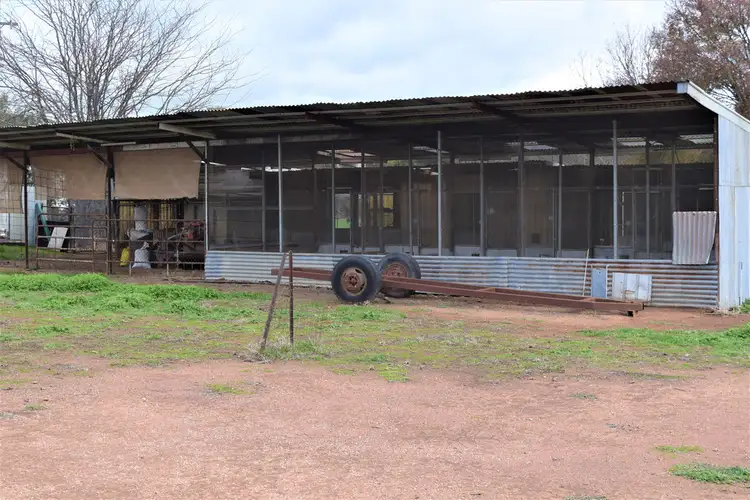Sixth view of Homely rural property listing, 'Tallowood' 231 Yankee Crossing Road, Henty NSW 2658