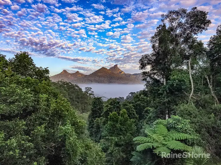 155 Braeside Drive, Uki NSW 2484