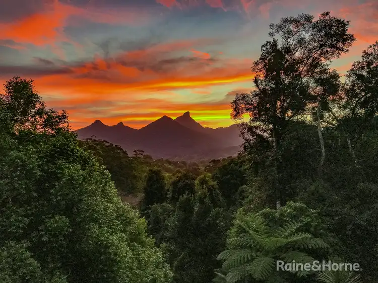 Sixth view of Homely house listing, 155 Braeside Drive, Uki NSW 2484