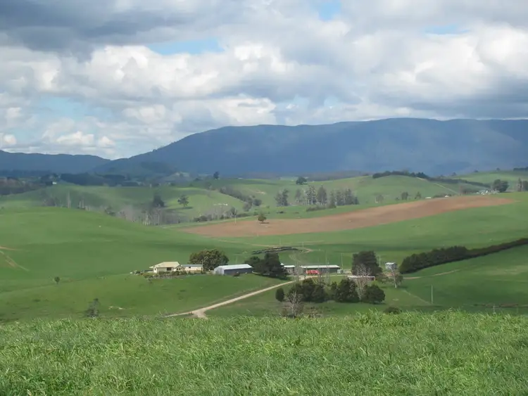 Third view of Homely rural property listing, 110 Willis Road, Lietinna TAS 7260