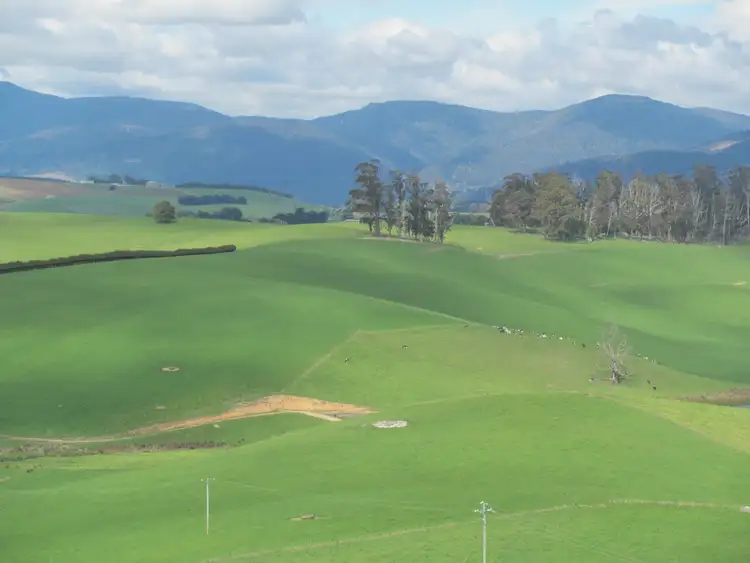Fifth view of Homely rural property listing, 110 Willis Road, Lietinna TAS 7260