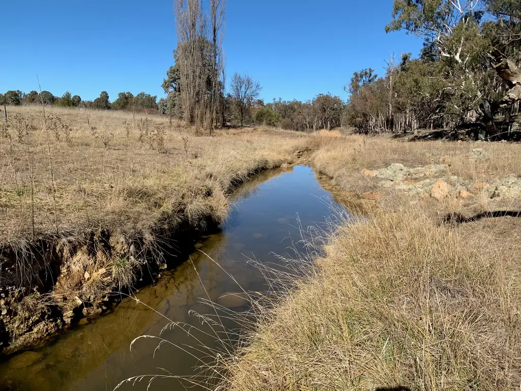 Main view of Homely rural property listing, 19 Stringybark Ridge Road, Armidale NSW 2350