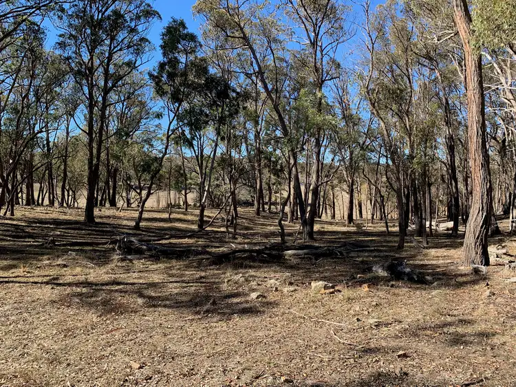 Fifth view of Homely rural property listing, 19 Stringybark Ridge Road, Armidale NSW 2350