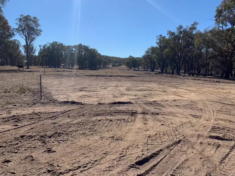 Seventh view of Homely rural property listing, 19 Stringybark Ridge Road, Armidale NSW 2350