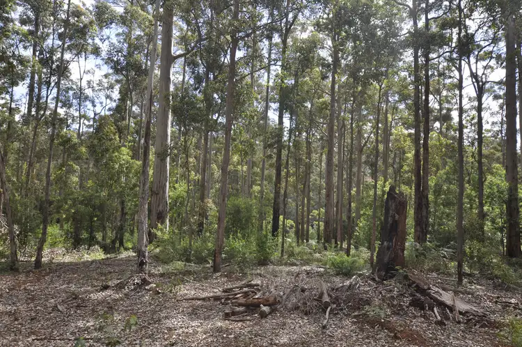 Lot 97 KARRI LANE, Quinninup WA 6258