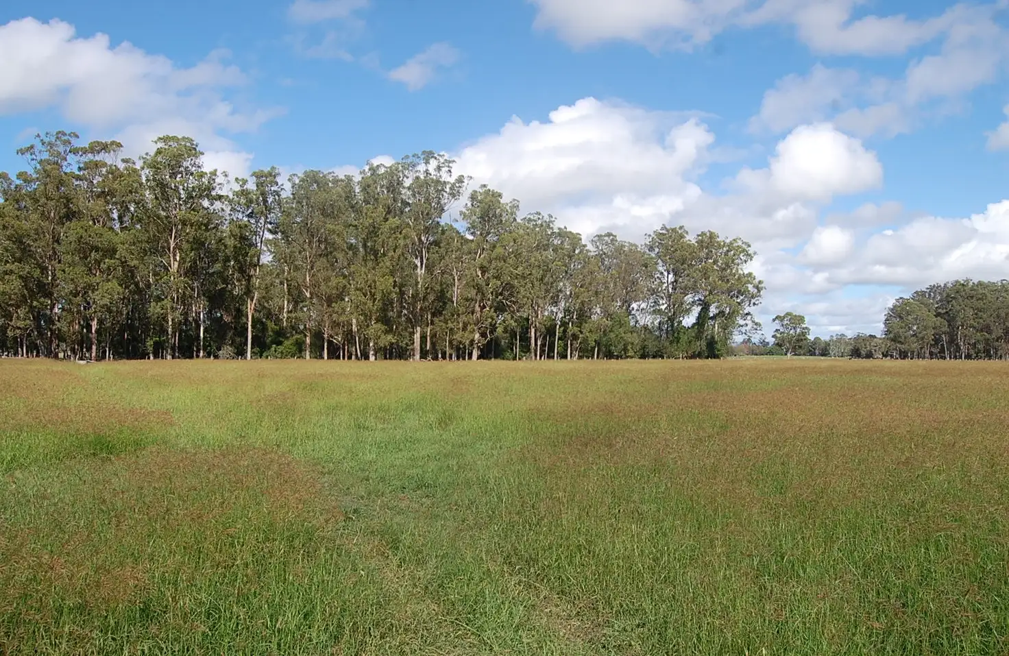Main view of Homely rural property listing, Lot 2 McMullens Bridge Road, Leeville NSW 2470