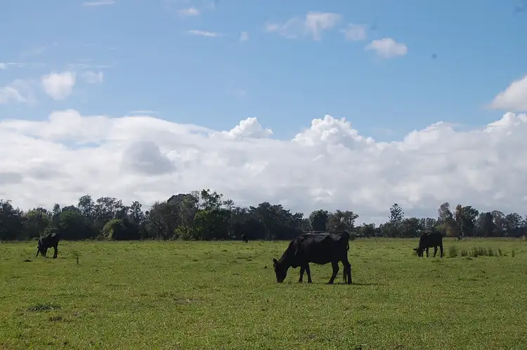 Second view of Homely rural property listing, Lot 2 McMullens Bridge Road, Leeville NSW 2470