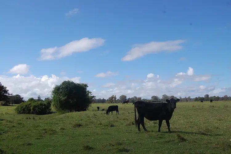 Fifth view of Homely rural property listing, Lot 2 McMullens Bridge Road, Leeville NSW 2470