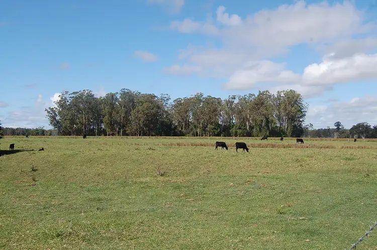 Sixth view of Homely rural property listing, Lot 2 McMullens Bridge Road, Leeville NSW 2470
