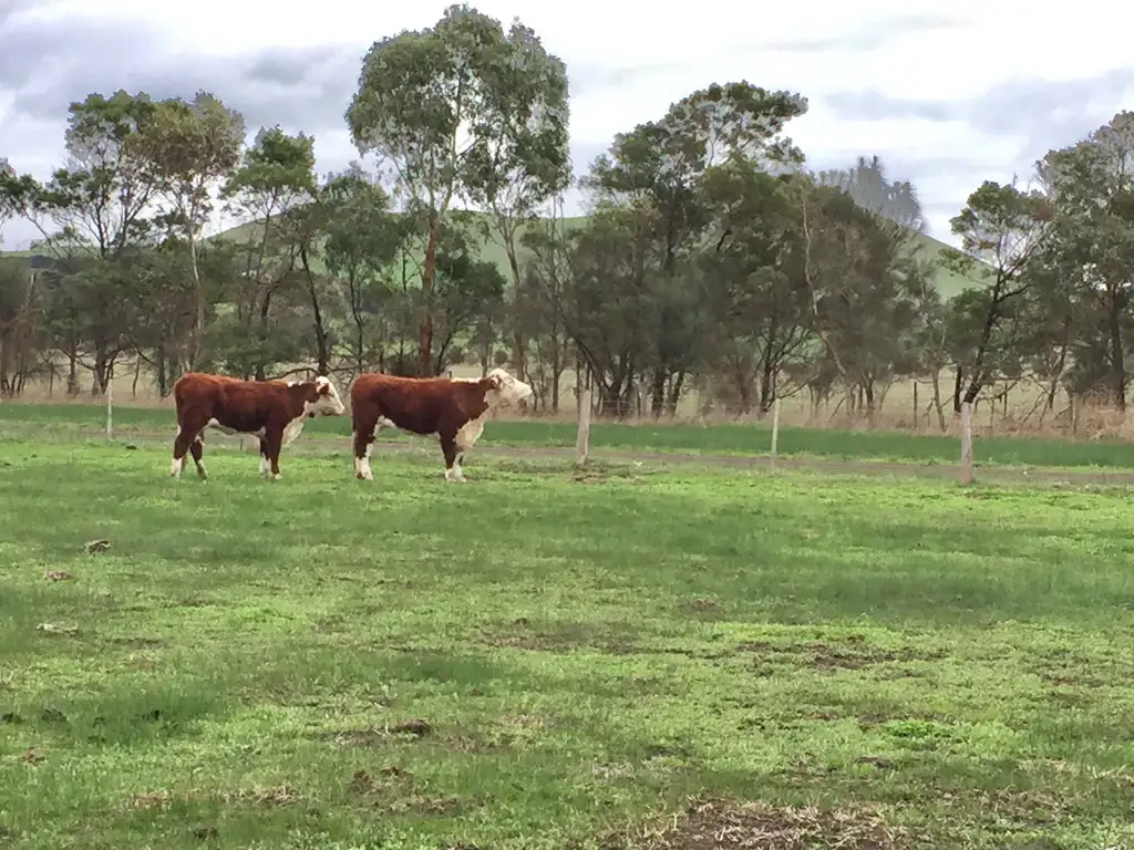 Main view of Homely land listing, Section 2 Waggs Lane, Mortlake VIC 3272