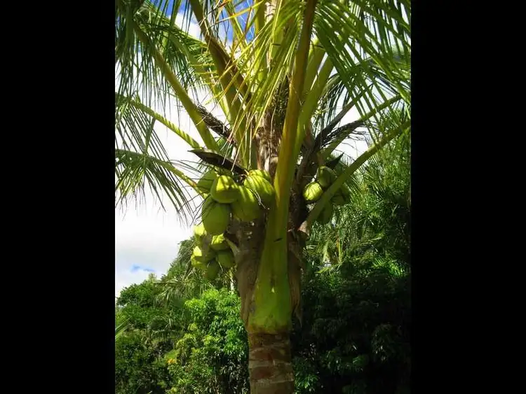 Sixth view of Homely house listing, Address available on request