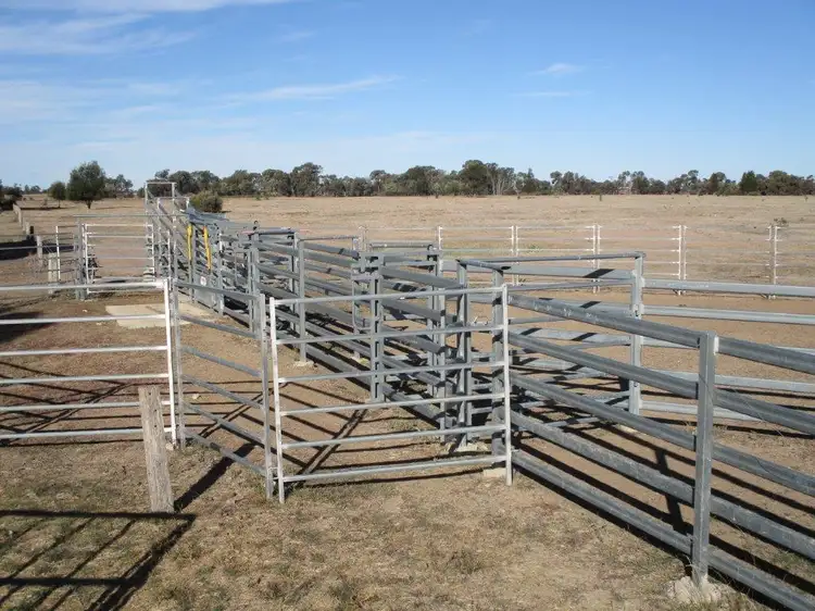 Fifth view of Homely rural property listing, 480 ACRES QUALITY GRAZING, Tara QLD 4421