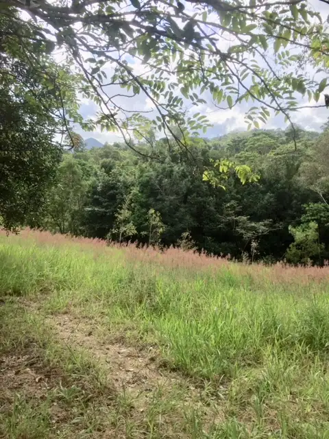 Third view of Homely land listing, 97-109 Eumundi Range Road, Eumundi QLD 4562