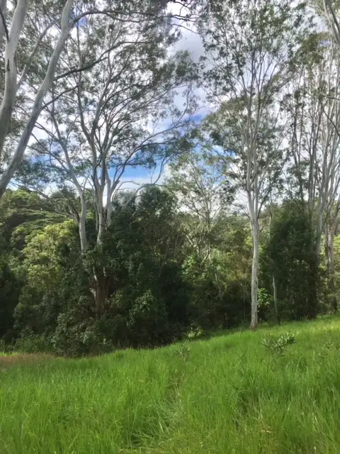 Sixth view of Homely land listing, 97-109 Eumundi Range Road, Eumundi QLD 4562