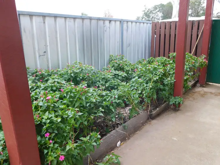 Second view of Homely house listing, 109 Edwards St, Coonabarabran NSW 2357