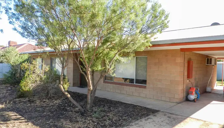 4 Randell Terrace, Monash SA 5342