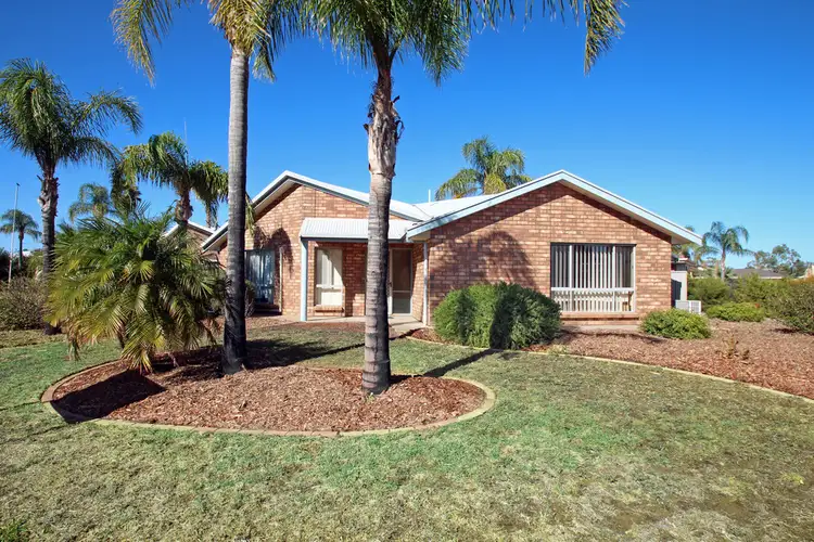 46 Meander Avenue, Renmark SA 5341