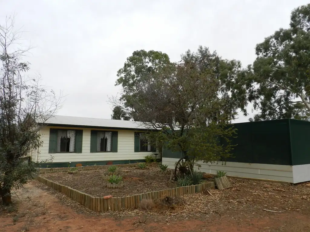 Main view of Homely house listing, 40 Wilkinson Road, Loveday SA 5345