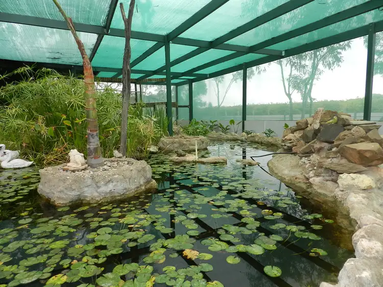 Third view of Homely house listing, 40 Wilkinson Road, Loveday SA 5345