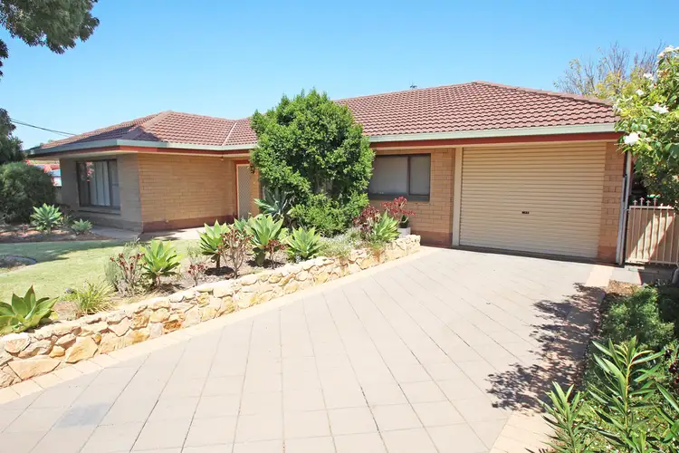 19 Story Crescent, Renmark SA 5341