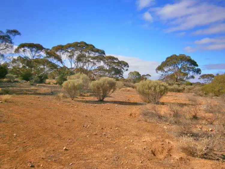 Sixth view of Homely rural property listing, Lot 91 Sturt Highway, Blanchetown SA 5357
