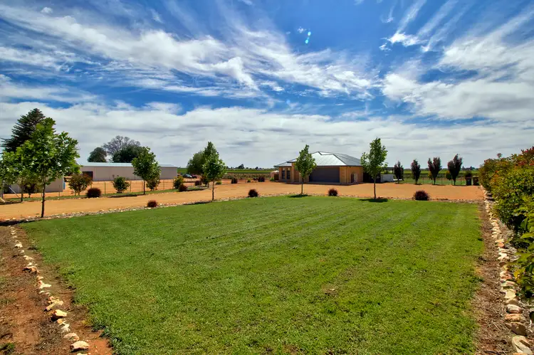 Main view of Homely house listing, 402 Balfour Ogilvy Avenue, Loxton SA 5333