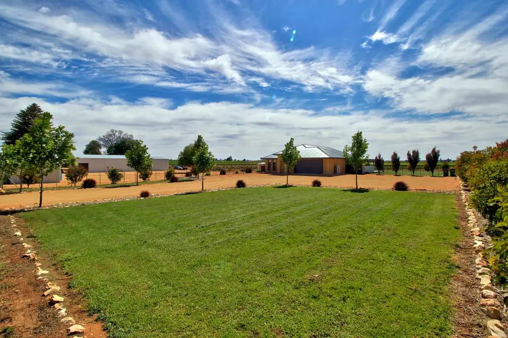Main view of Homely house listing, 402 Balfour Ogilvy Avenue, Loxton SA 5333