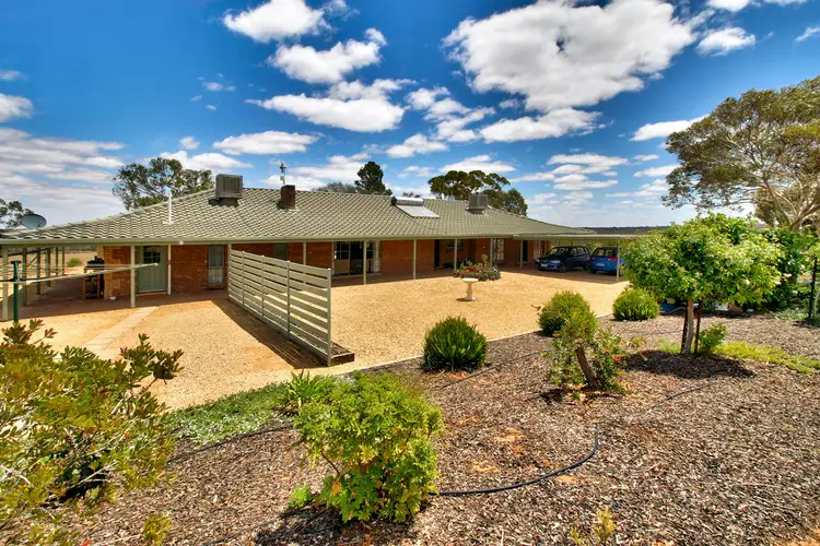595 Morgan Road, Barmera SA 5345