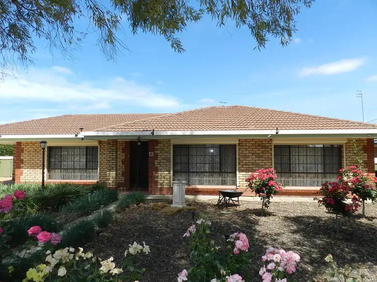 Second view of Homely house listing, 12 Beames Road, Via Berri, Lyrup SA 5343