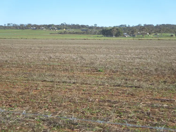 Third view of Homely rural property listing, 615 Anders Road, Monarto SA 5254