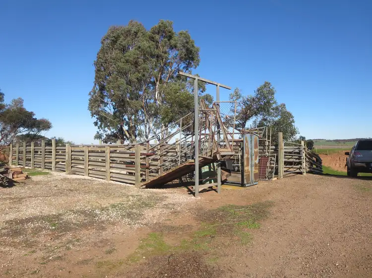 Sixth view of Homely rural property listing, 615 Anders Road, Monarto SA 5254
