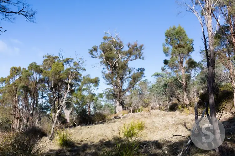 Fifth view of Homely land listing, 276 Lilydale Road, Rocherlea TAS 7248