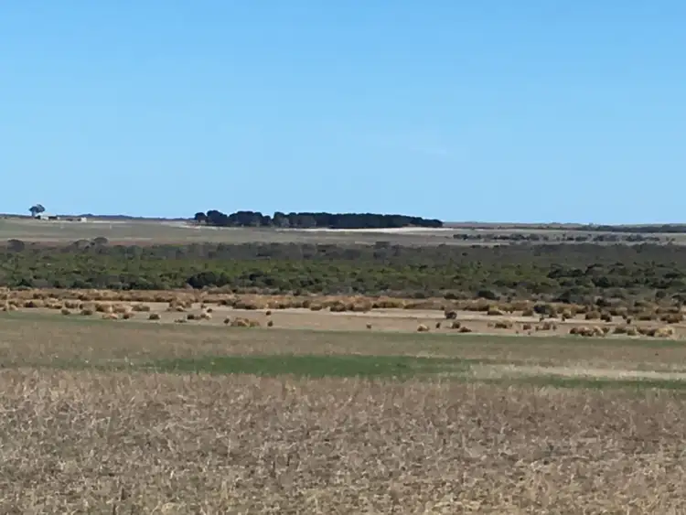 Second view of Homely rural property listing, Lot 5 Springdale Road, Munglinup WA 6450