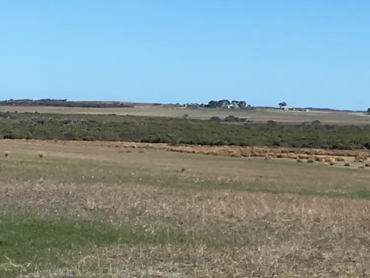 Fourth view of Homely rural property listing, Lot 5 Springdale Road, Munglinup WA 6450
