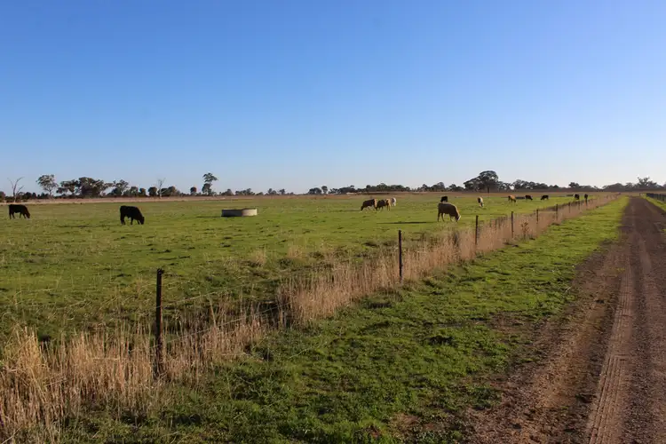 Third view of Homely rural property listing, 1660 Pogue Road, Tatura VIC 3616