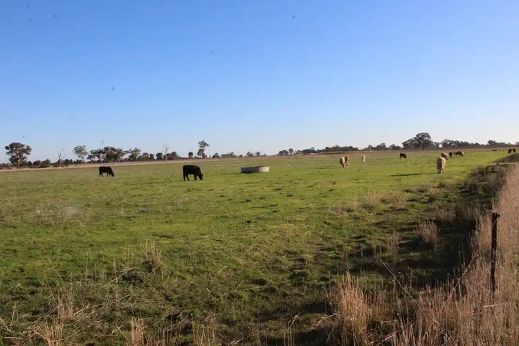 Sixth view of Homely rural property listing, 1660 Pogue Road, Tatura VIC 3616