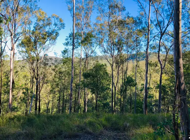 Fifth view of Homely rural property listing, 6 Gaeta Rd Gaeta, Gin Gin QLD 4671