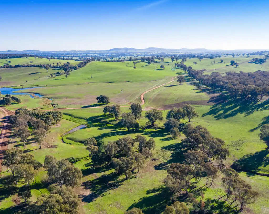 Main view of Homely rural property listing, 'Stonehaven' 269 Stonehaven Road, Holbrook NSW 2644
