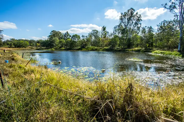 Third view of Homely rural property listing, 295 Karrabin Rosewood rd, Karrabin QLD 4306