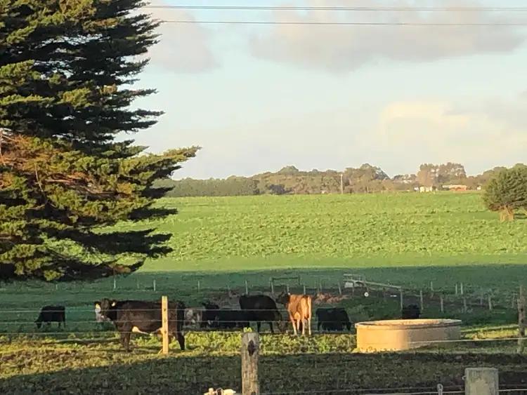 Second view of Homely rural property listing, 434 CONNS LANE, YANGERY, Warrnambool VIC 3280