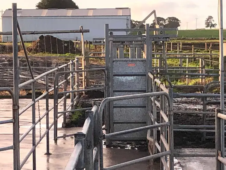 Fifth view of Homely rural property listing, 434 CONNS LANE, YANGERY, Warrnambool VIC 3280