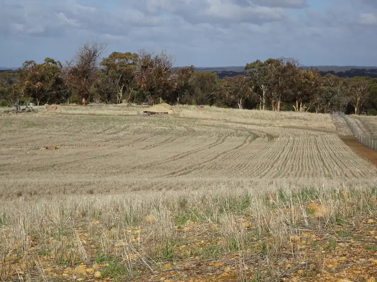 Main view of Homely rural property listing, 187 Bunmulling Rd, Popanyinning WA 6309