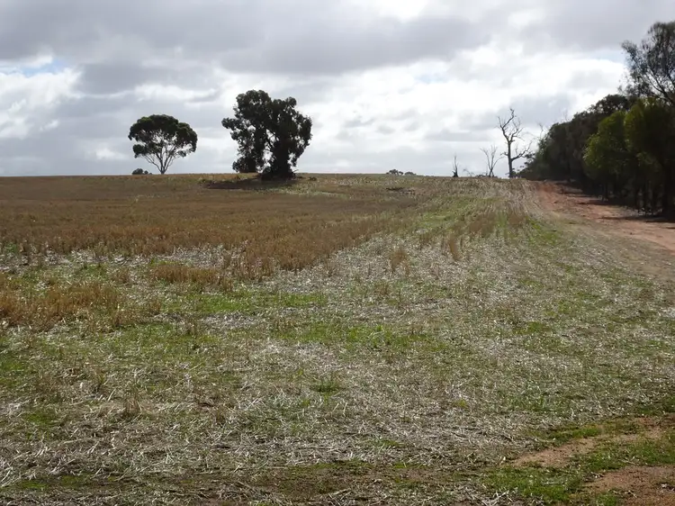 Third view of Homely rural property listing, 187 Bunmulling Rd, Popanyinning WA 6309