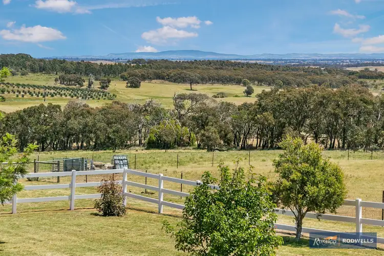 Second view of Homely rural property listing, 1555 Dairy Flat Road, Tooborac VIC 3522